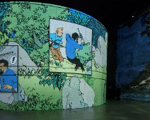 Tintin et les Picaros